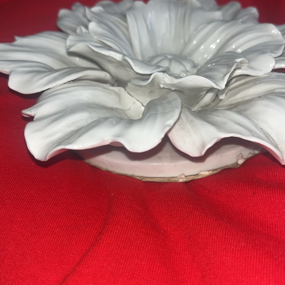 Tozai - Picture 4 of 8